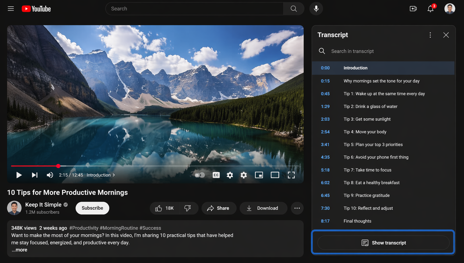 YouTube-Ansicht mit geöffnetem Video-Transkript